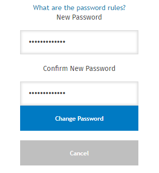 New_Password_Enter.png