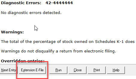 efile_extension.jpg